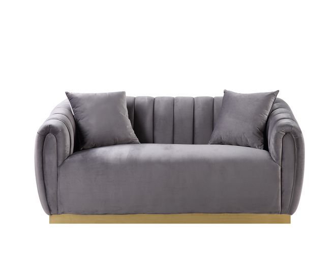 ACME Elchanon Sofa with 2 Pillows in Gray Velvet & Gold