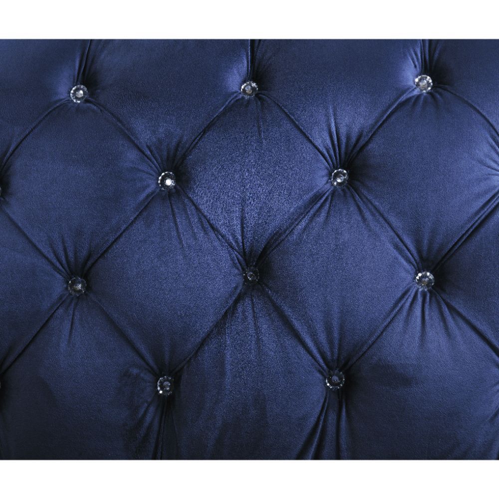 ACME Iberis Loveseat in Navy Velvet