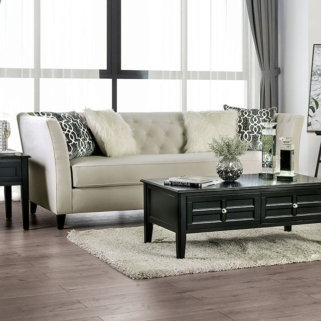 Furniture of America MONAGHAN SOFA Box Cushion Seating, U-Shaped Design and Pillows Included